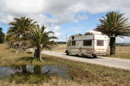 Palmenstrae und Sonnenschein!!!S